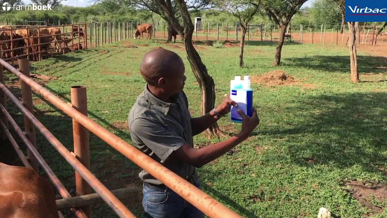 Eliminate Application with Hans from Virbac