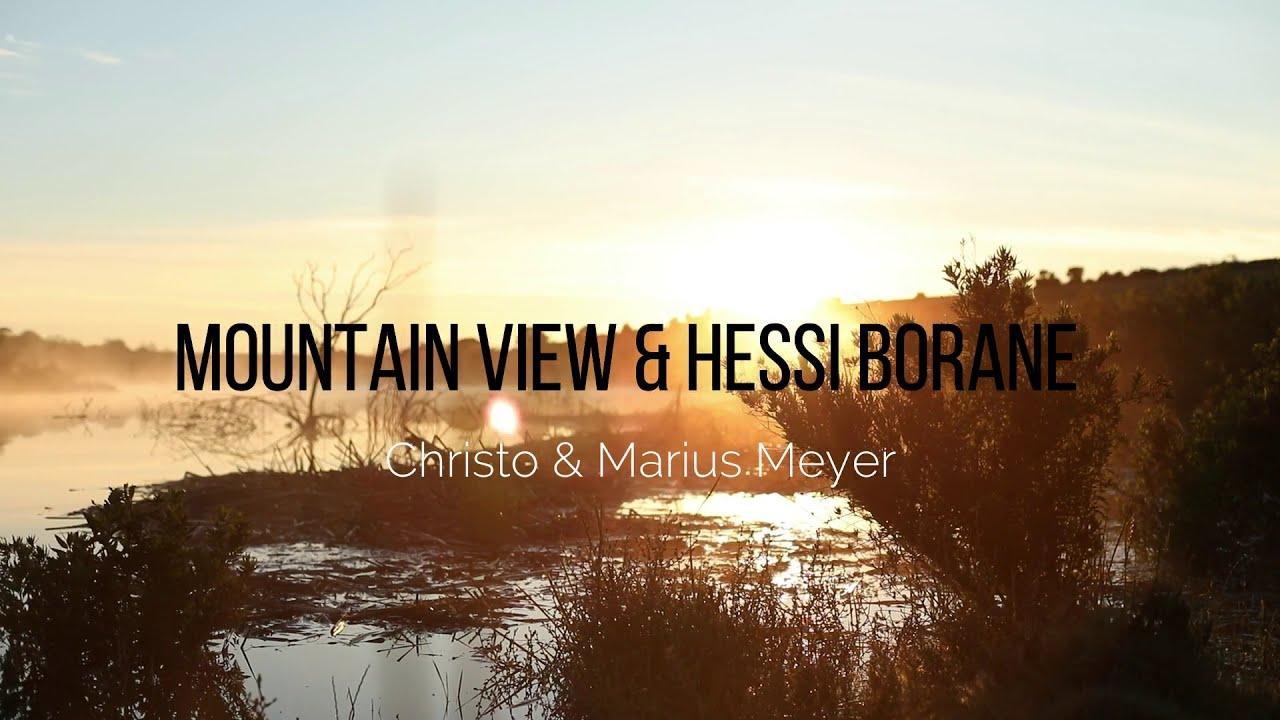 Prestige Auction Mountain View & Hessi Borane