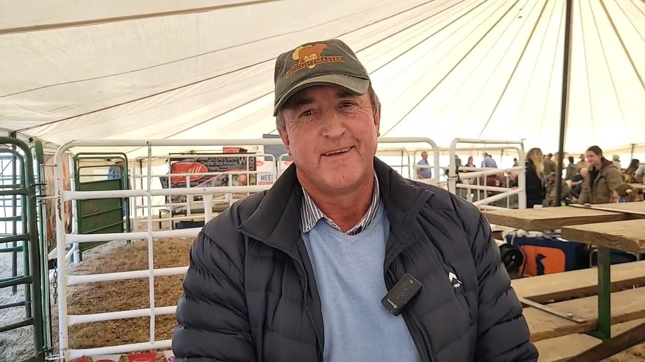 Rocky Droughtmaster Veiling 2022 - Carl Durow