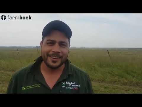Excelsior Farmers Day 2019