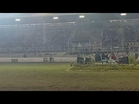 National Saddle Horse Championship Live From Bloem Show 2022