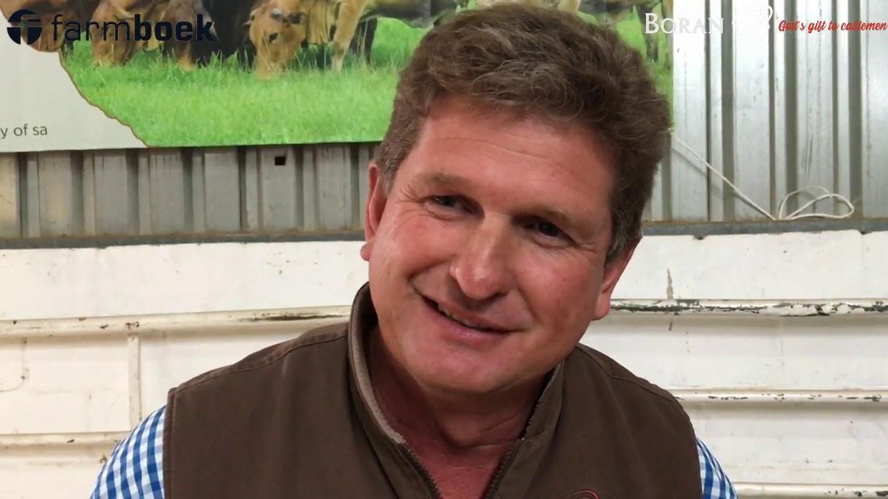 Boran Cattle breeders' Society of South Africa at Nampo Kaap 2019 - Christopher Havinga