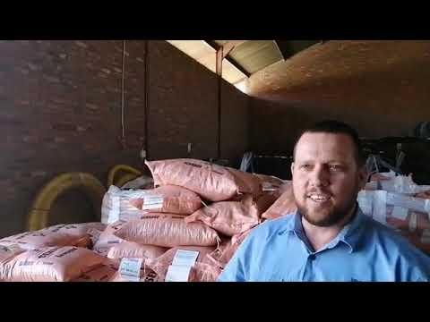 Sensako and Syngenta donates sunflower seed in Bultfontein