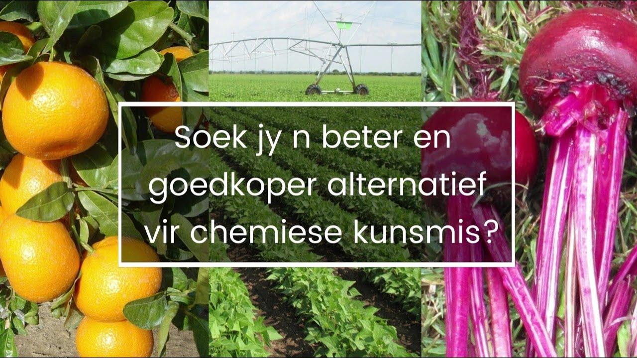 Soek jy 'n beter en goedkoper alternatief vir chemiese kunsmis?