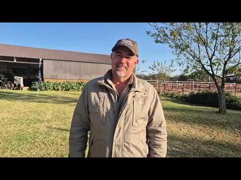 Francois Smit gesels oor Fonteine Borans - 17 de Produksie Veiling.