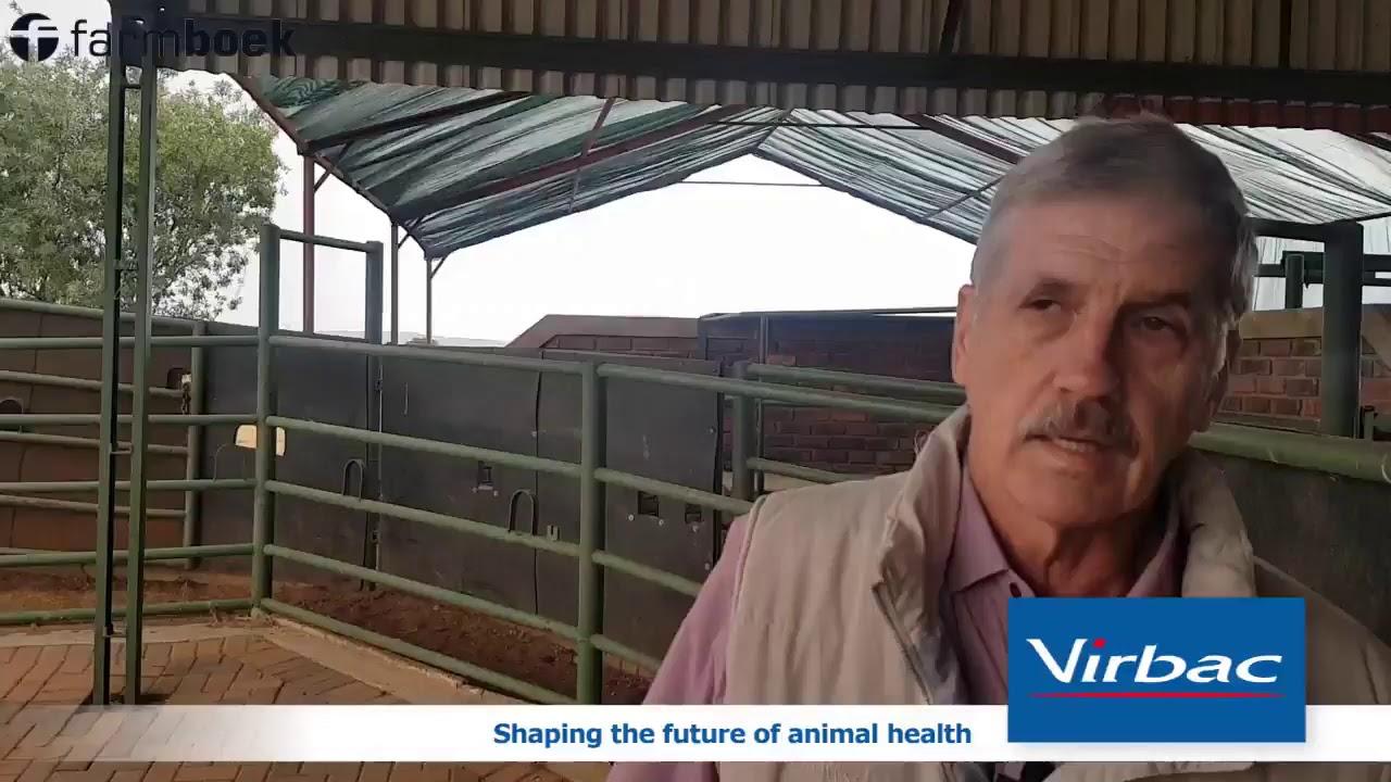 Coccidiose that occur in sheep - Virbac SA