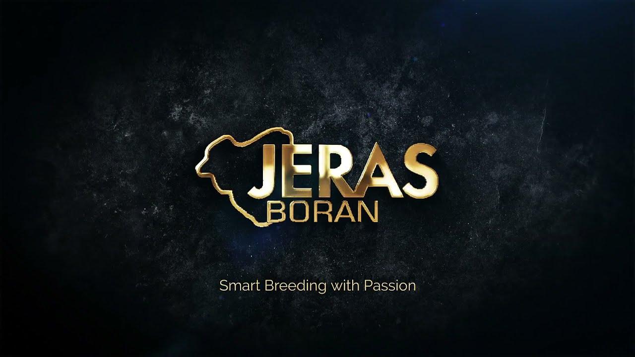 Jeras Alliance Auction WJ 12 29