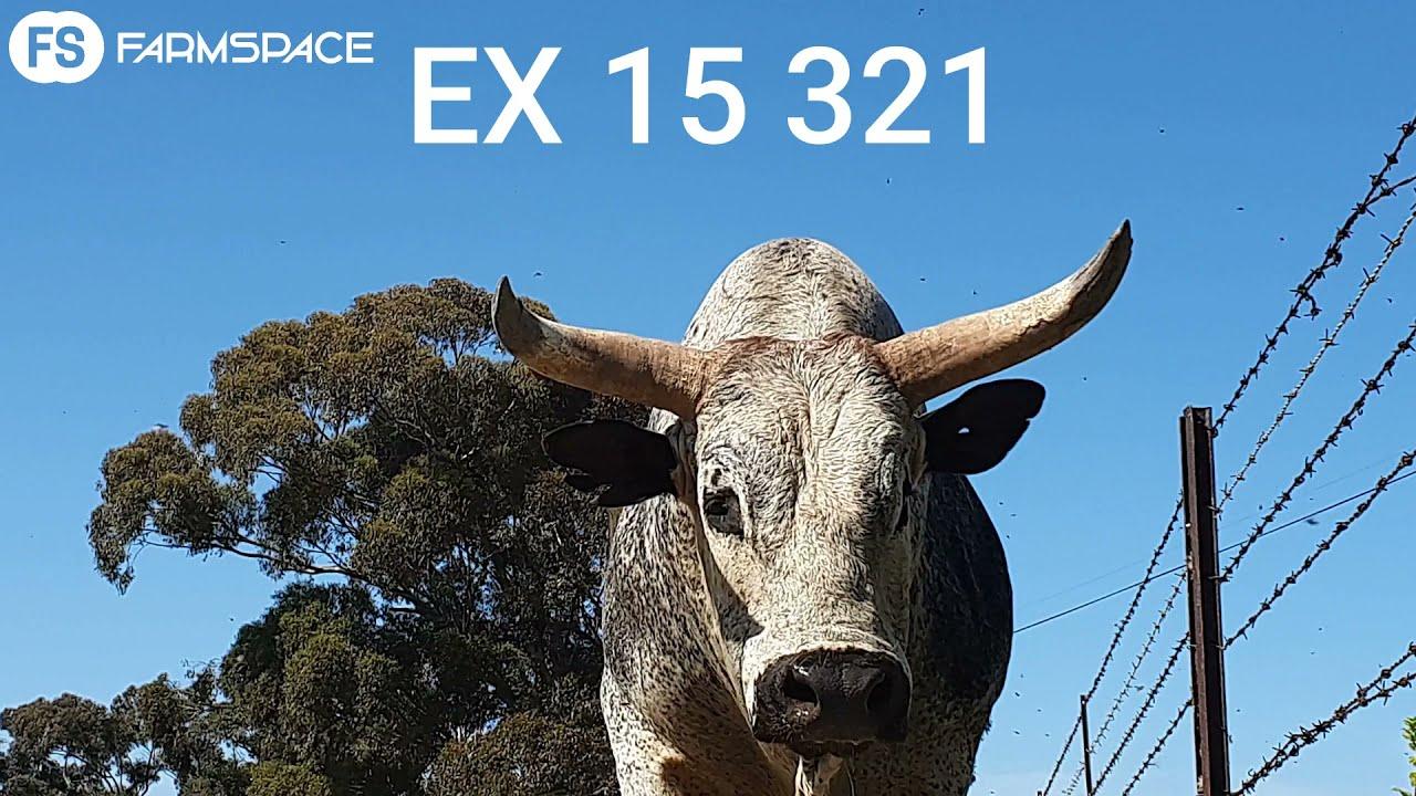 Regainer Group Auction Presents EX 15-321 Lot 26