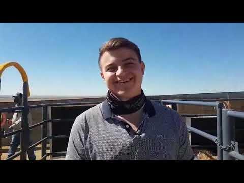 Dylan van Sterkfontein Borane oor die 2021 Hurwitz veiling.