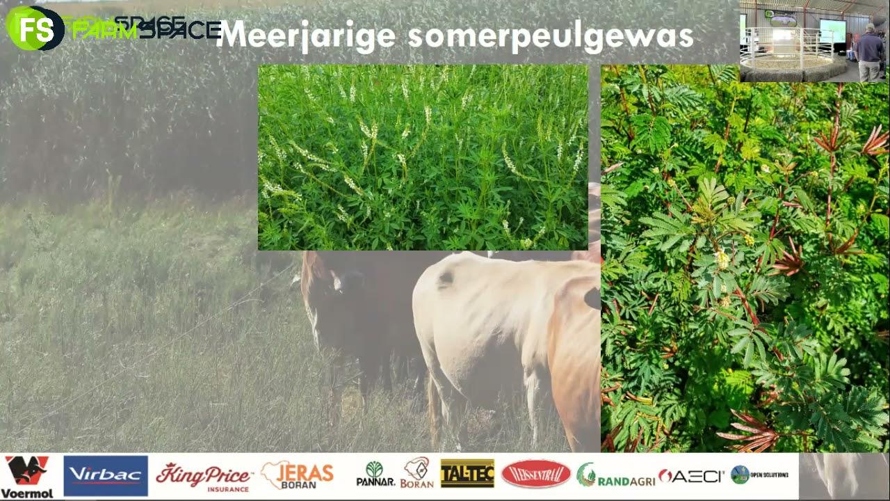 Willem Nel van Agricol bespreek aangeplante wydings in die Noordwes
