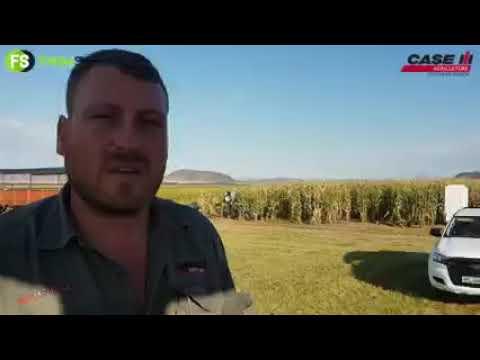 Excelsior SomerOesdag 2021 - Case IH Maxxum 125