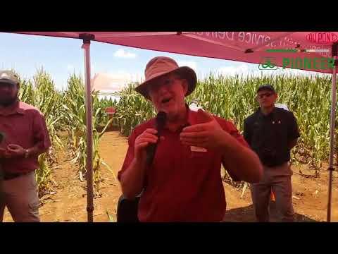 Bob Nielsen 4 - Seed size and germination moisture