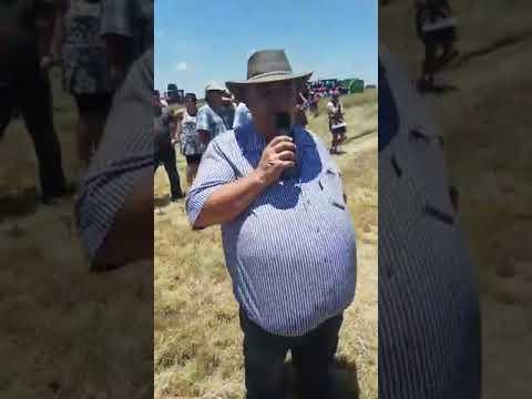 Balfour Hay Day 2018 - Ever heard of Gallignani?