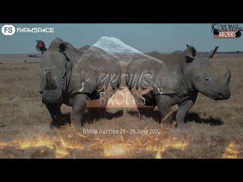 Crous Rhino Timed Auction, 23 - 25 June with @meerkatonlineauctions auctions