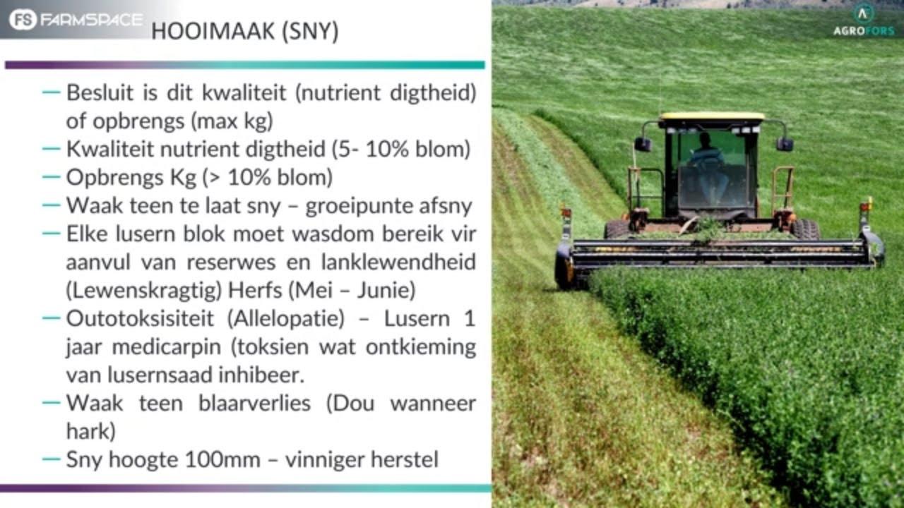 Hoe kan jy suksesvol hooimaak? Rudi van Agrofors deel sy wenke.