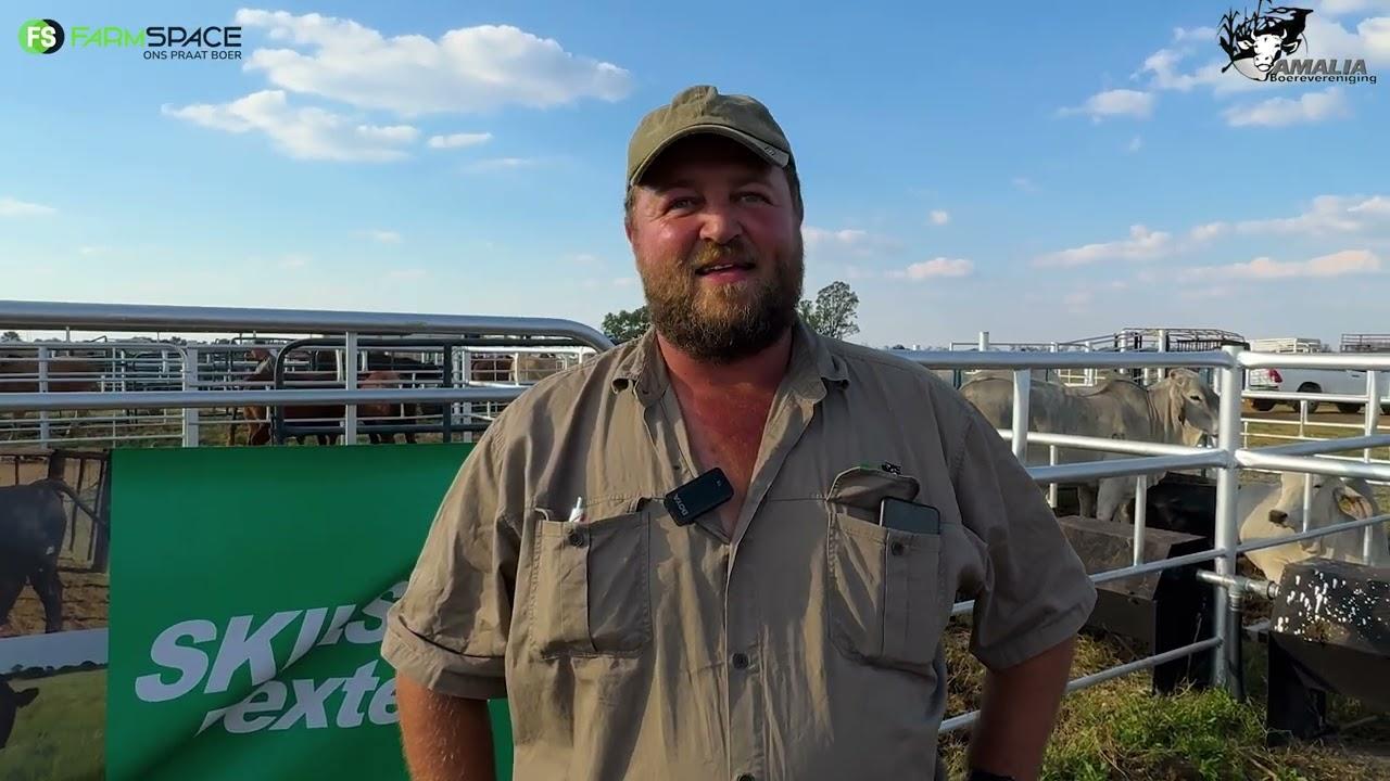 Hoekom moet jy die Dexter-ras oorweeg? Cilliers vertel meer by die Amalia Verseskou.