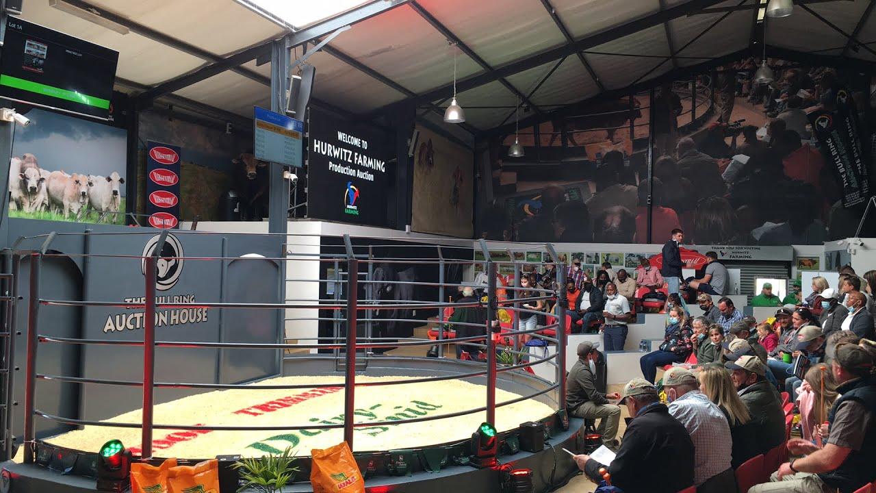 Hurwitz Boran Production Auction