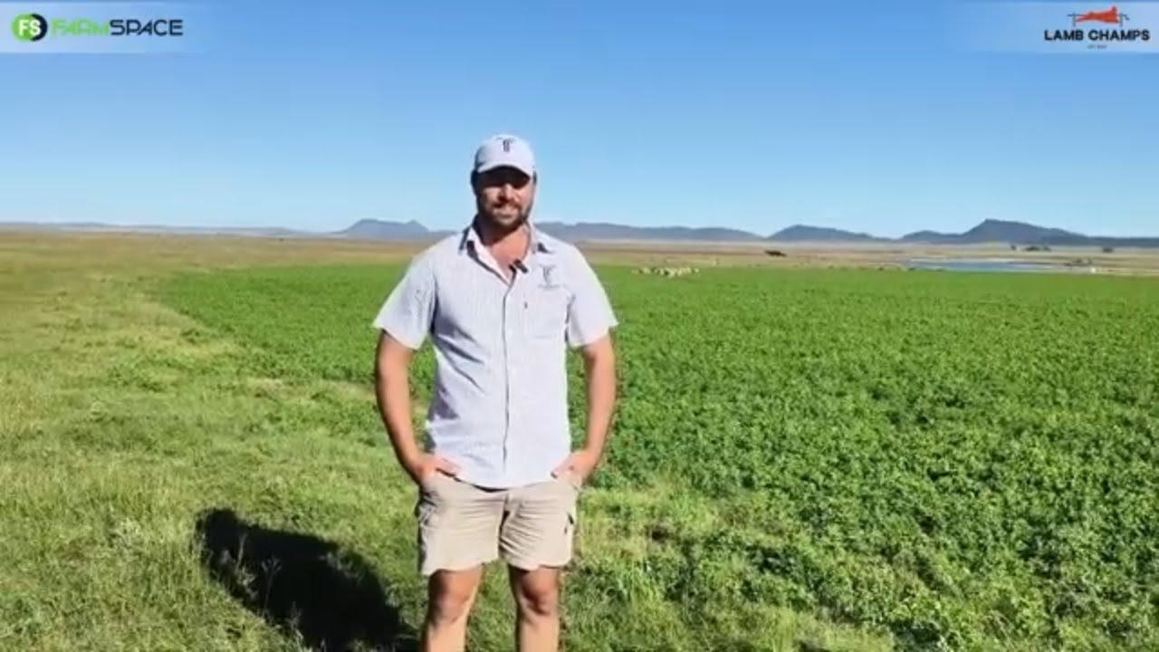 Ons is in Toomfontein en praat met Peet van Rooyen wat ons meer vertel van die Merino skaap.