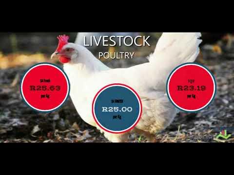 AMT Livestock & Grain Outlook - 20 Feb 2019