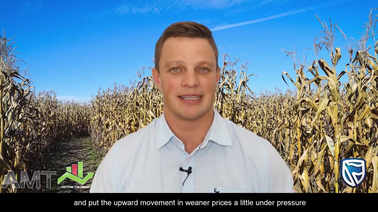 AMT - Grain and Livestock Overview - 22 Jan 2020