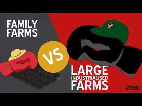 The Agri Value Chain