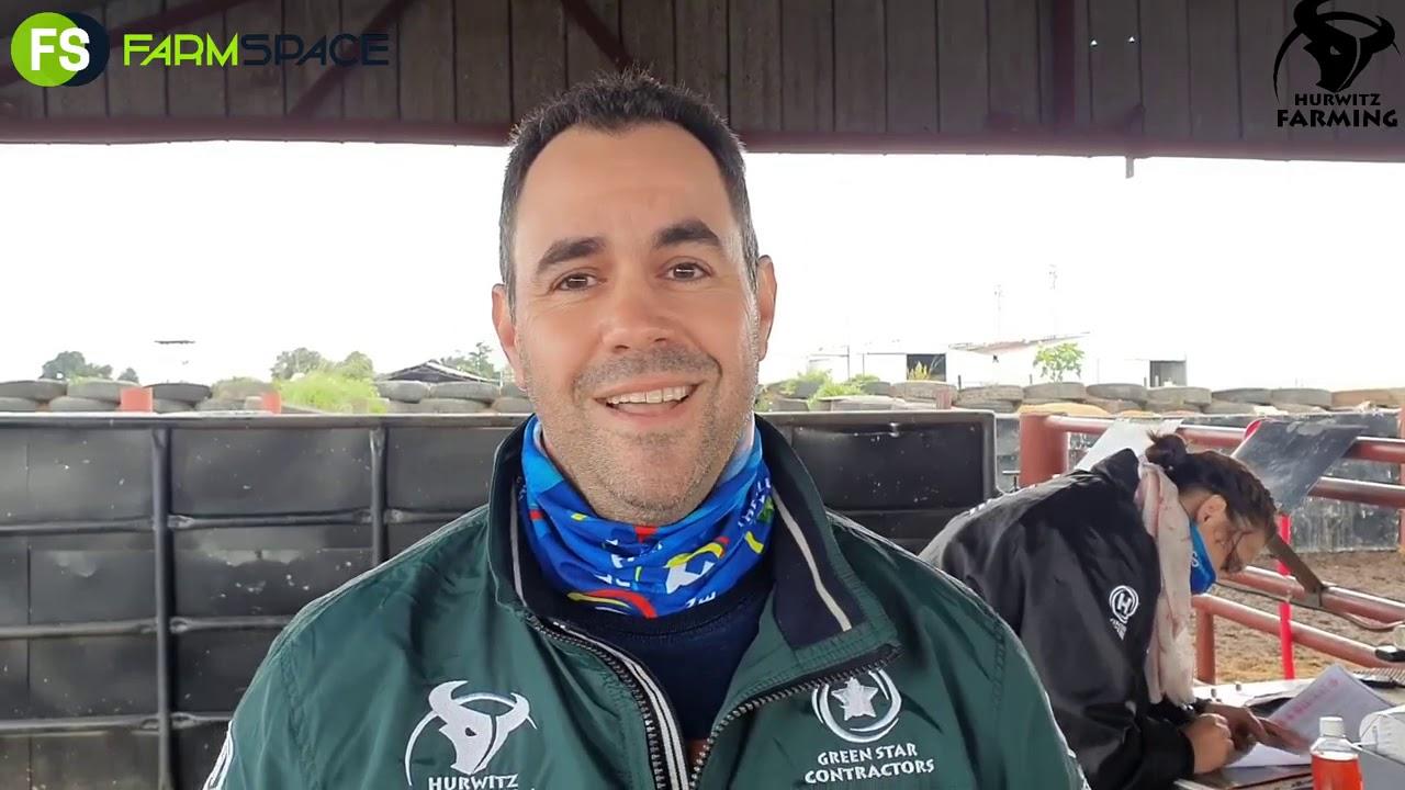 Simeon Hurwitz oor die Embrio spoeling, Droughtmaster en Boran