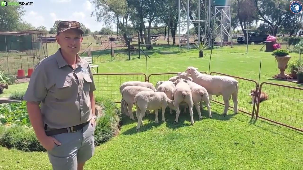 Hoekom het GJ du Plessis die Ile de France ras gekies?