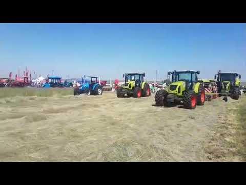 LIVE from the Balfour Hay Day 2020