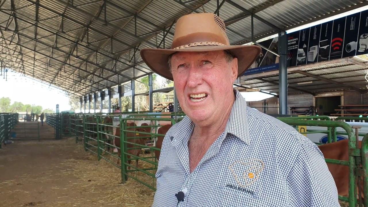 Danie Strydom van Jabea gesels oor waarom hy sy beste gebring het na die Stockman's Elite