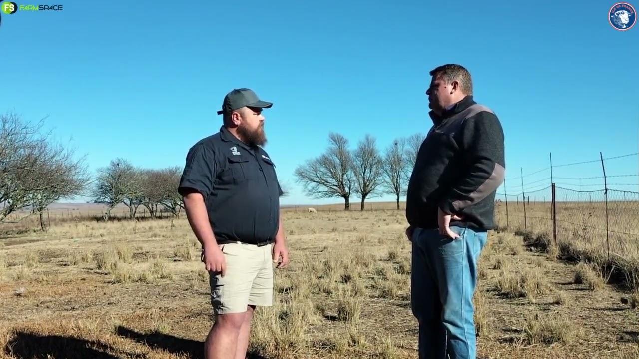 Frank Penn gesels met ons oor die vrugbaarheid van die Ile de France ras.