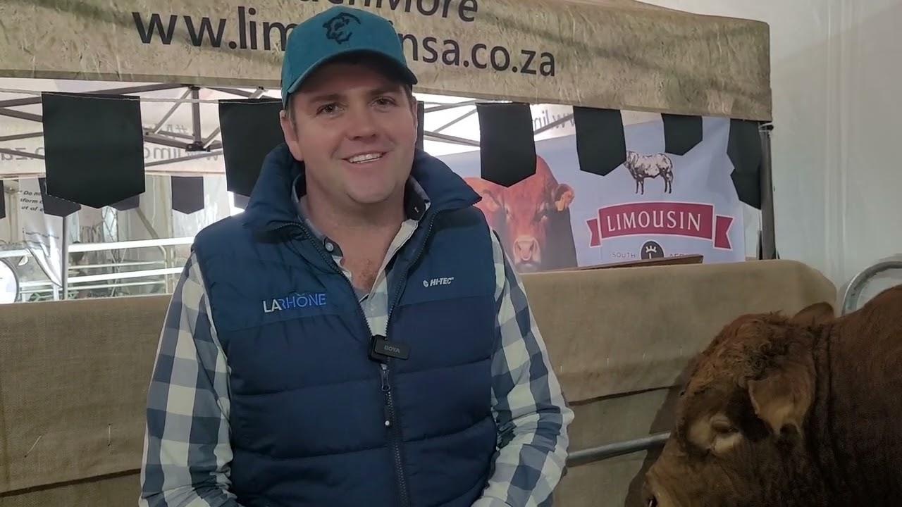 Die Limousin-ras beleef nuwe hoogtes en groei.
