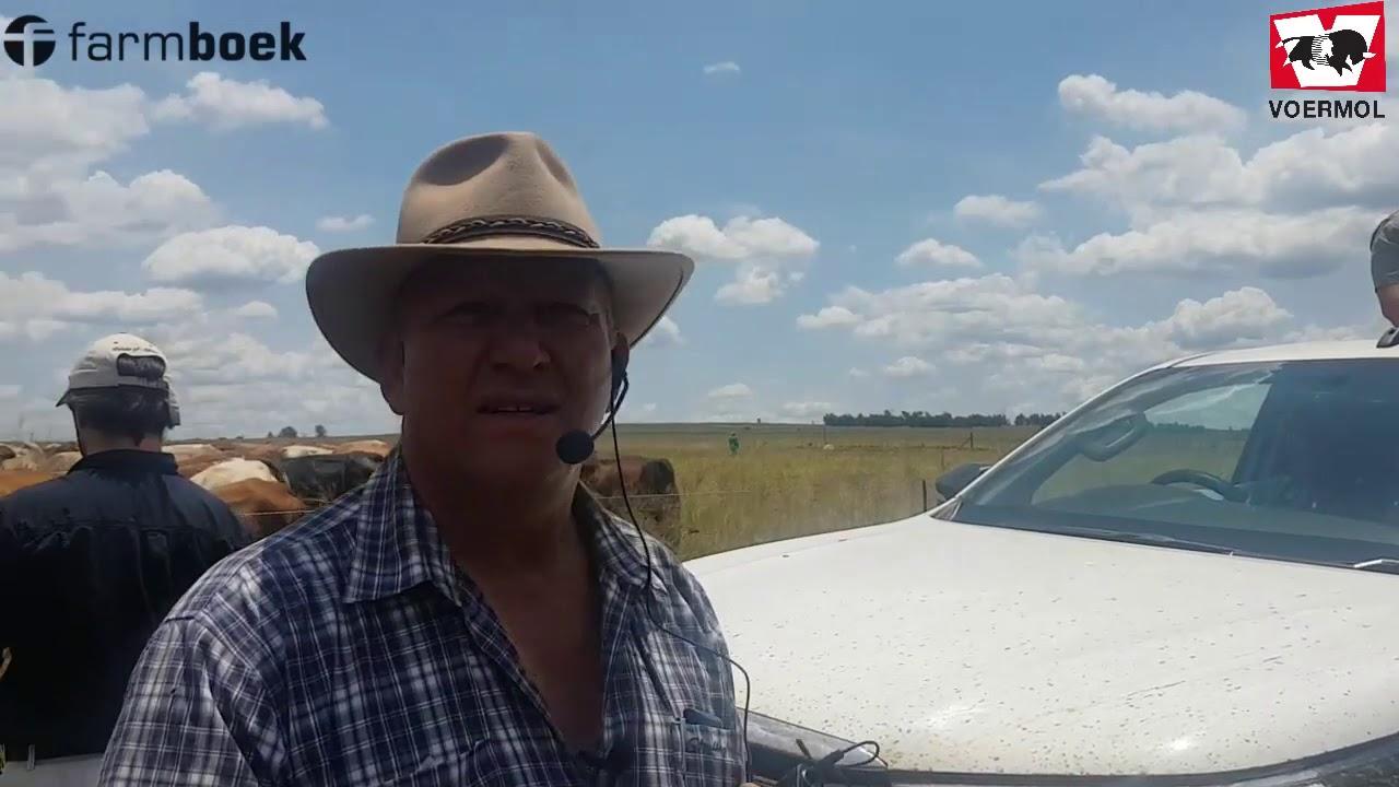 In the veld, Gideon answers questions and explains to us his methods with stripgrazing.