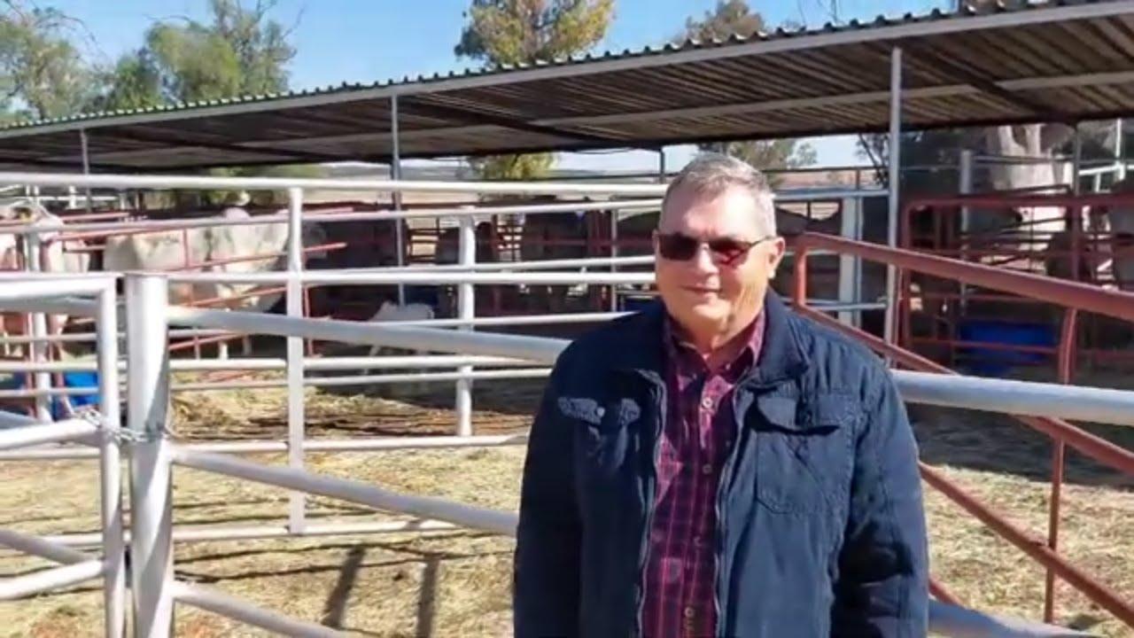 Sytze Smith vertel vir ons waarop ons moet fokus by die Serfbred Brahmane Produksie Veiling