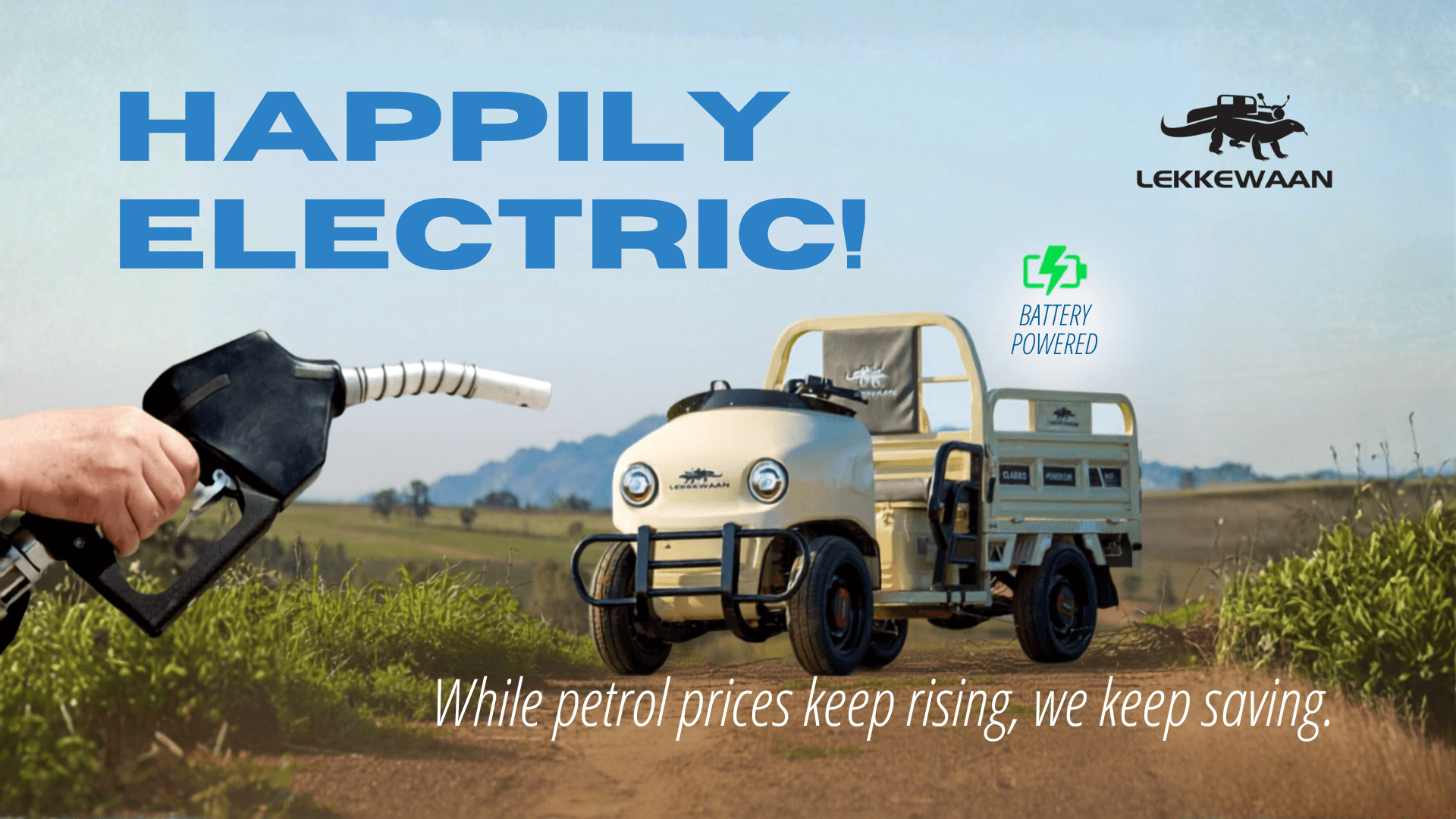 Cost analysis: petrol versus electric over one year