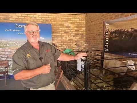 Dormer SA by Nampo Alfa 2022.