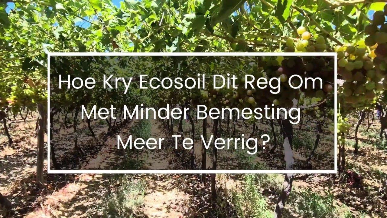 Hoe kry Ecosoil dit reg om met minder bemesting meer te verrig?