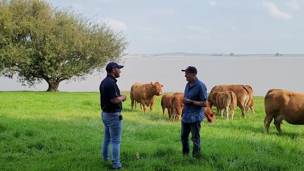 The Sale of the SA National Champions will take place on the 21st of May at Waters Edge, Vaal Dam.
