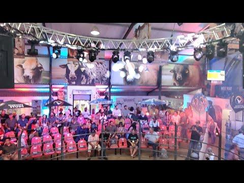 Collaboration Boran Auction live from the Bull Ring