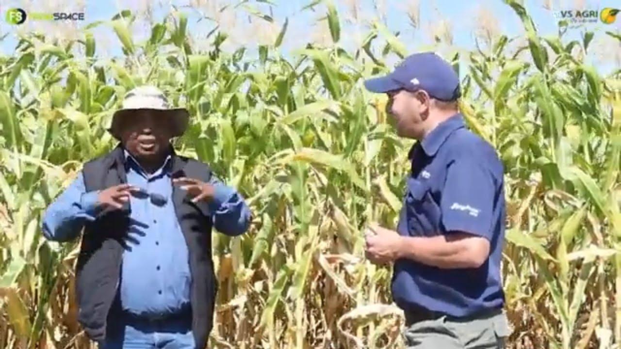 How can VS Agri help your farm? Farm Profitability Farmers' Day - 9am 24 May 2023 Fouriesburg
