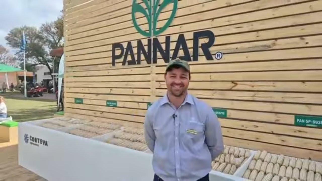 Wat behels Pannar se watertafel projek op Nampo 2025?