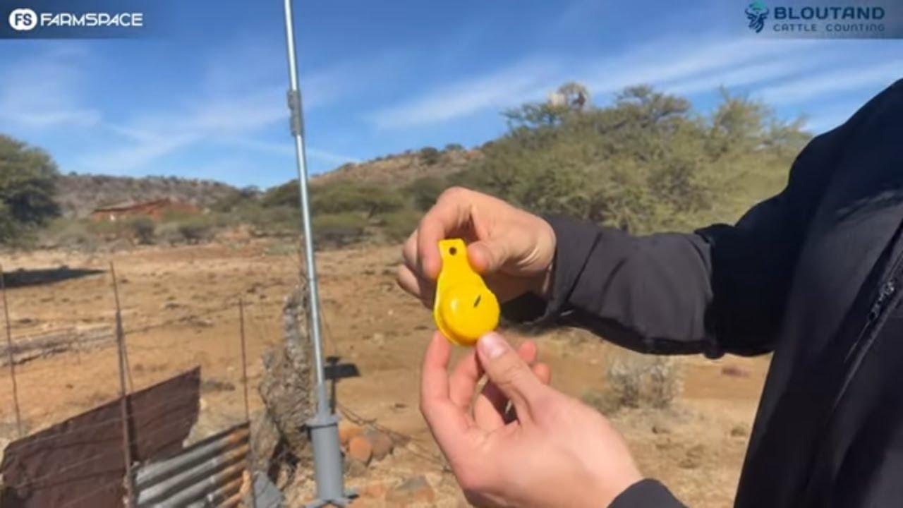 Sukkel jy met vee-monitering? Bloutand se vee-moniteringstelsel het die oplossing vir jou.
