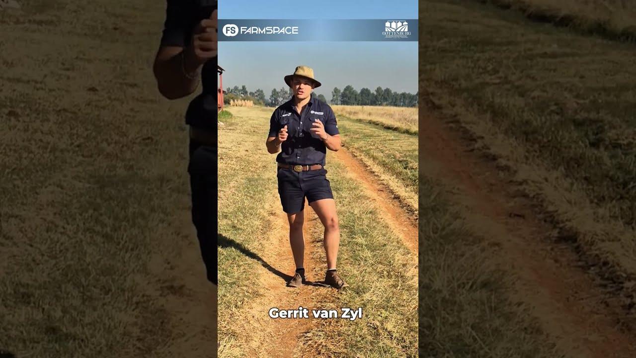 Het jy al jou kaartjies vir die Gottenburg Bees dag?