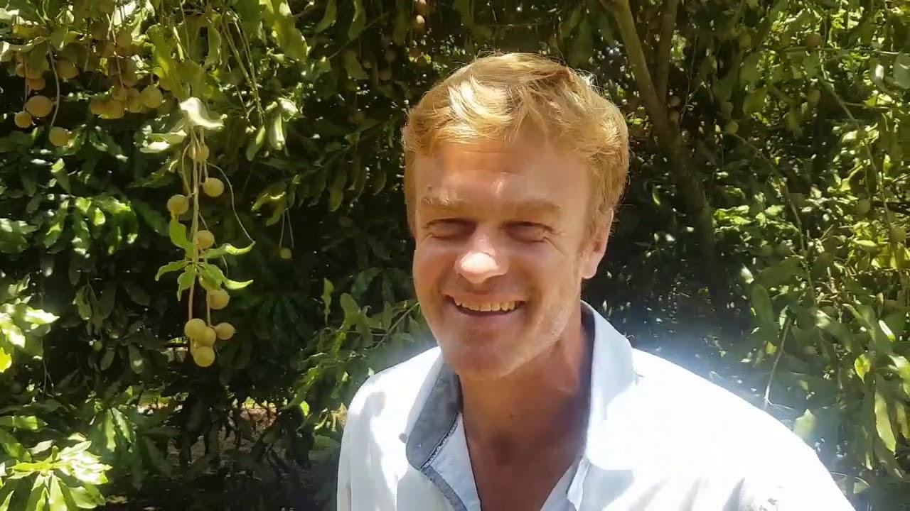 Loskop ICT - Macadamia nuts, Terry