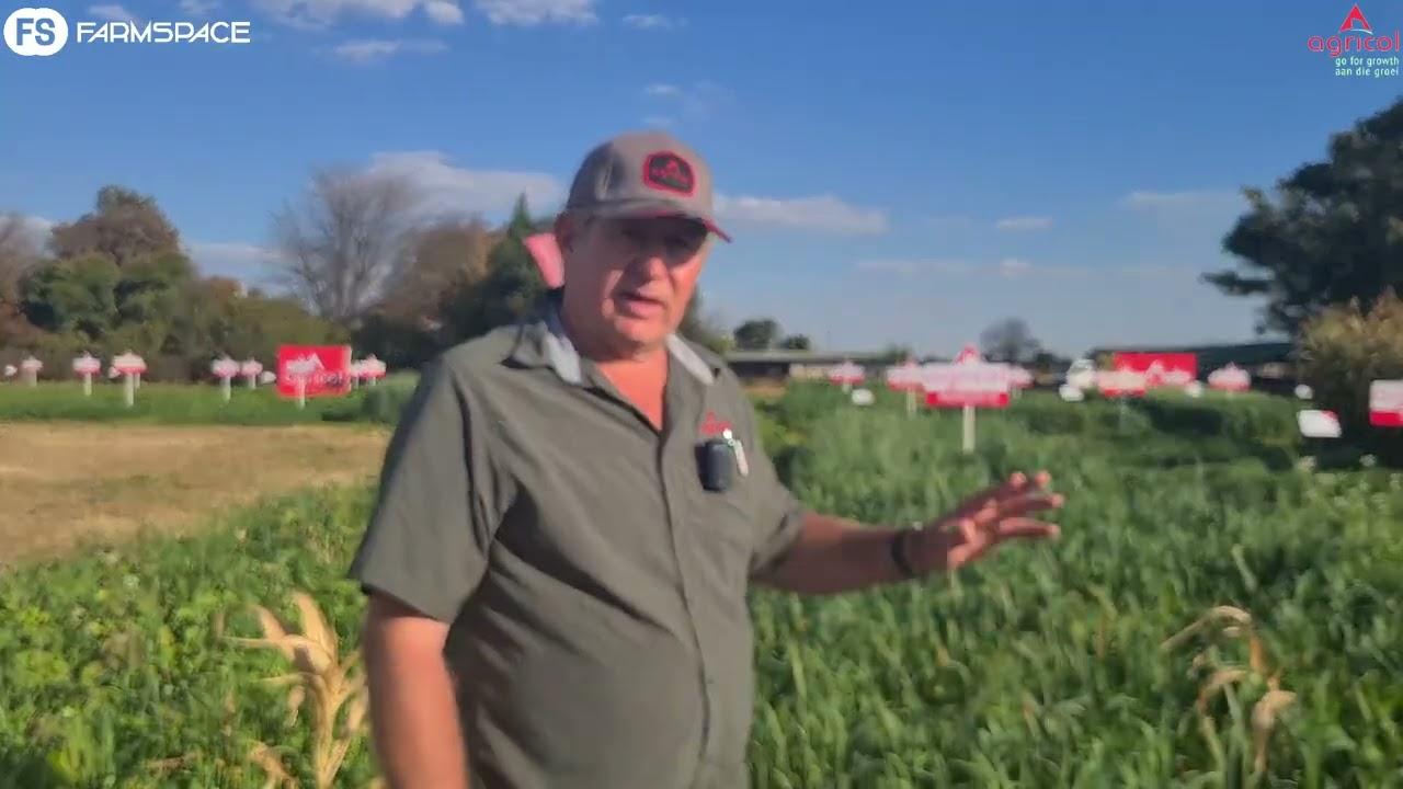 Agricol - Dekgewasse op pekanneute video 2 van 3. Hoe begin jy met dekgewasse onder pekanneute?