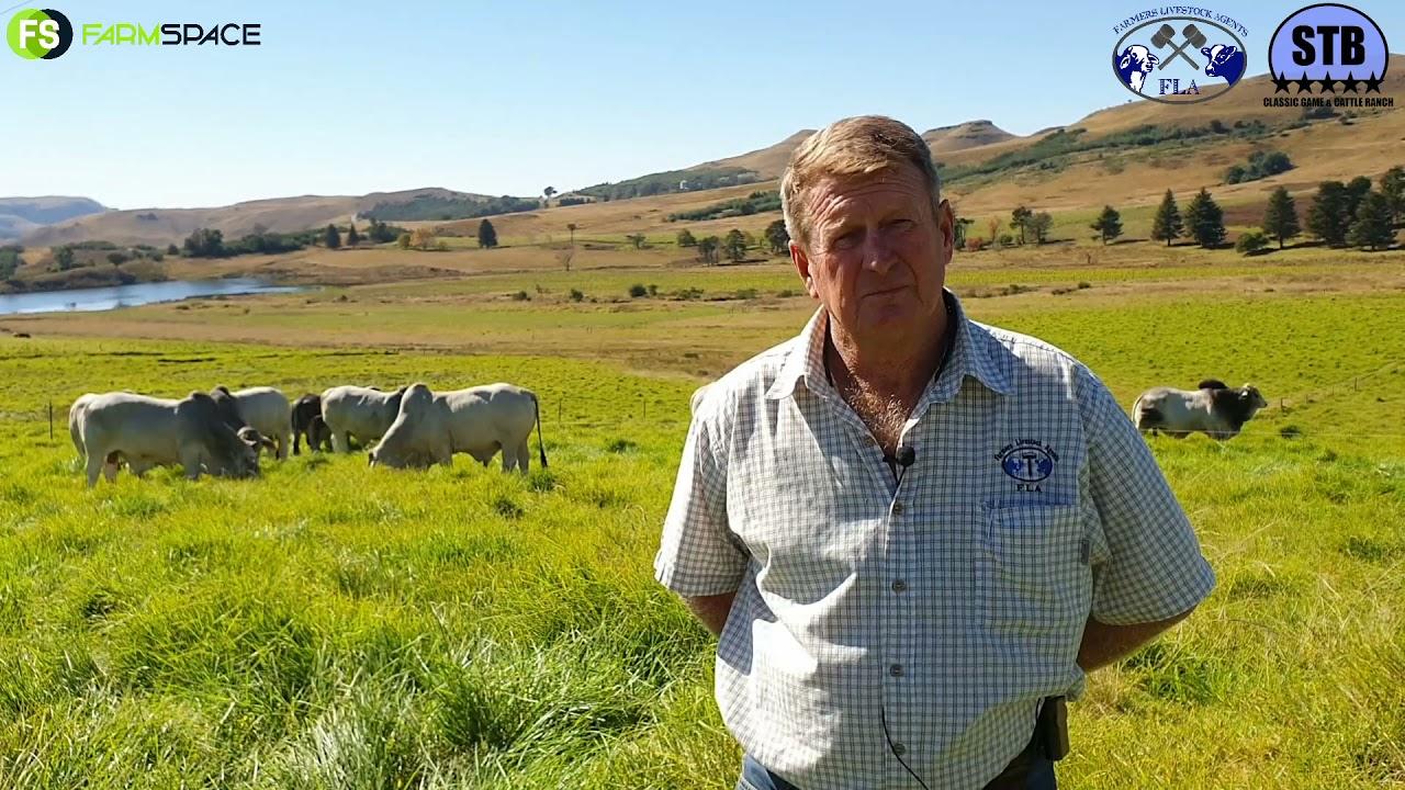 Joffs van FLA gesels oor hulle betrokkenheid by die Stey Braes Stoet