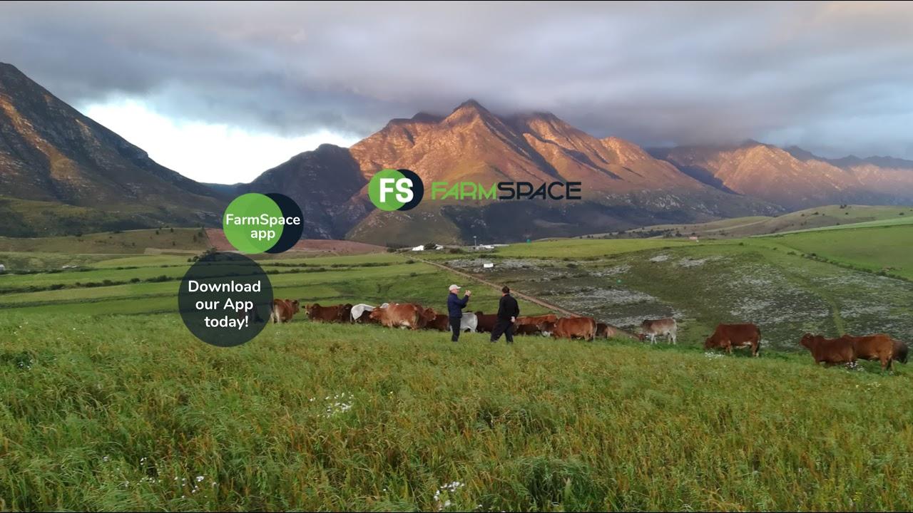Farmspace Live Stream