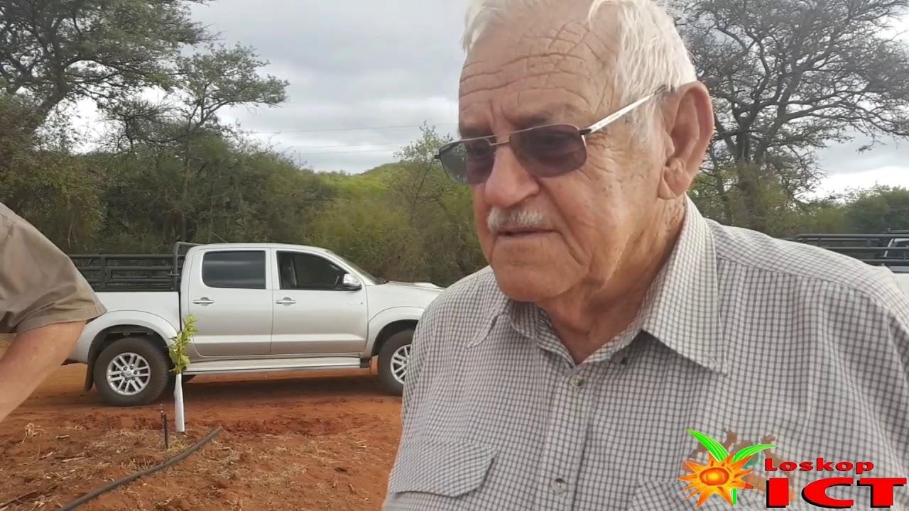 Klein Naartjiebome en die plant van Citrus - Loskop ICT