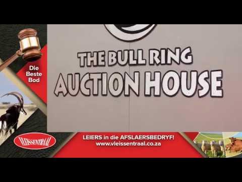 Landbou Weekliks Video on Hurwitz Farming Annual Boran Auction