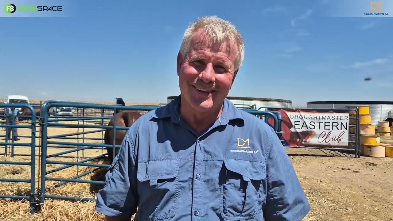 Ons gesels met Marius Barkhuizen oor die Droughtmaster ras in die Kommersiele mark