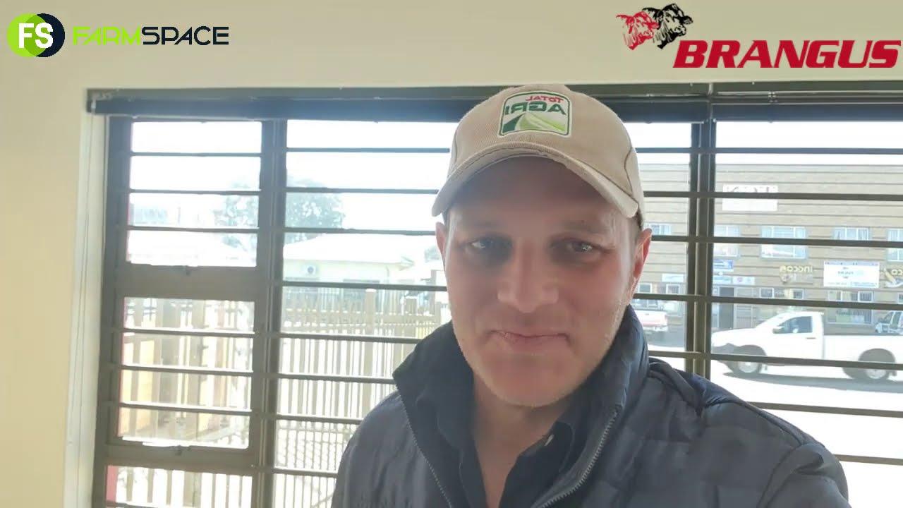 George Gibbens vertel ons meer or sy verwagtig van die Brangus Nasionale veiling.